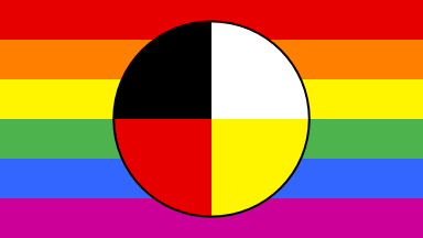 rainbow flag with the medicine wheel in the middle (quartered into colours: black, white, yellow, and red)